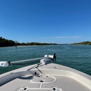 Meet your Posher, Daphne